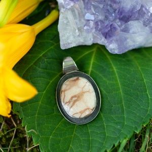 Picture Jasper 925 Sterling Silver Circular Pendant